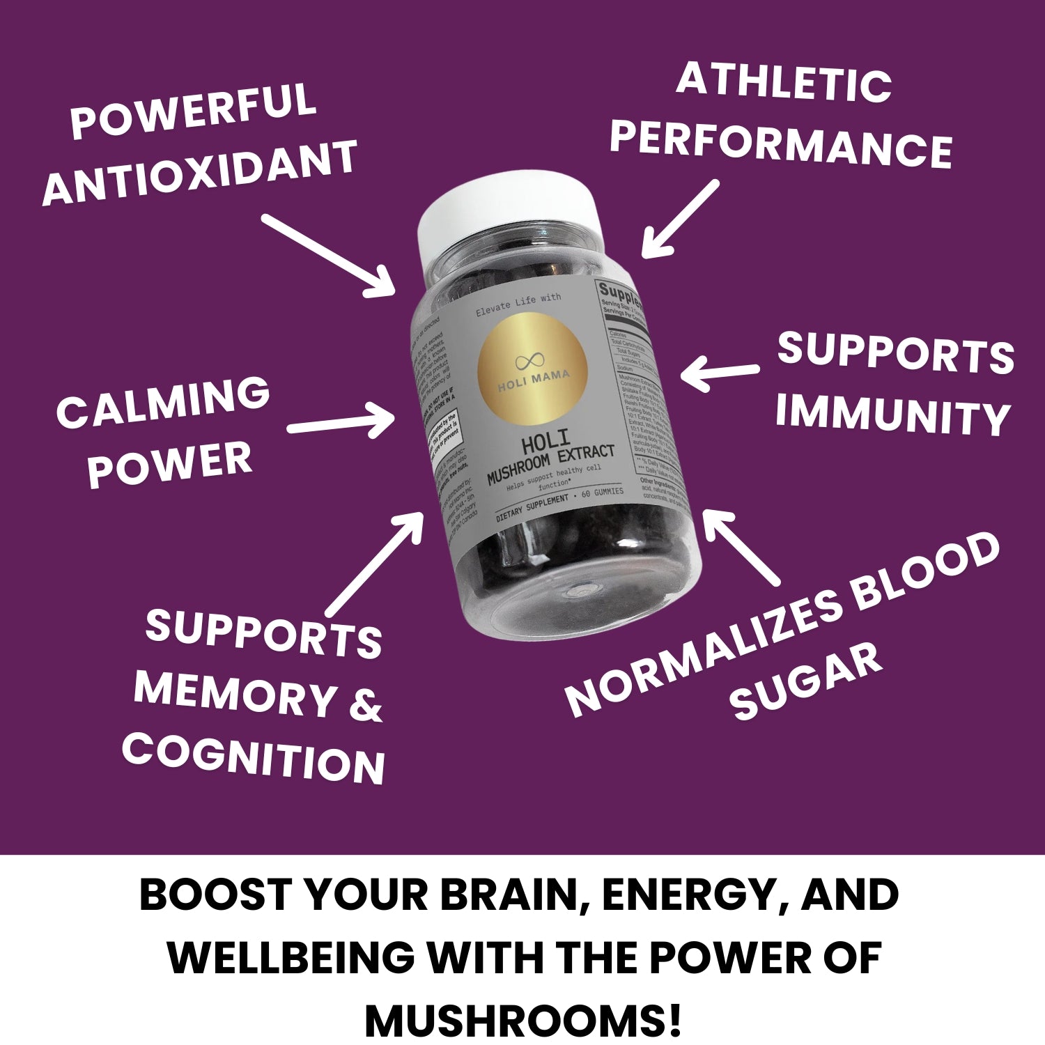 Holi Mushroom Extract